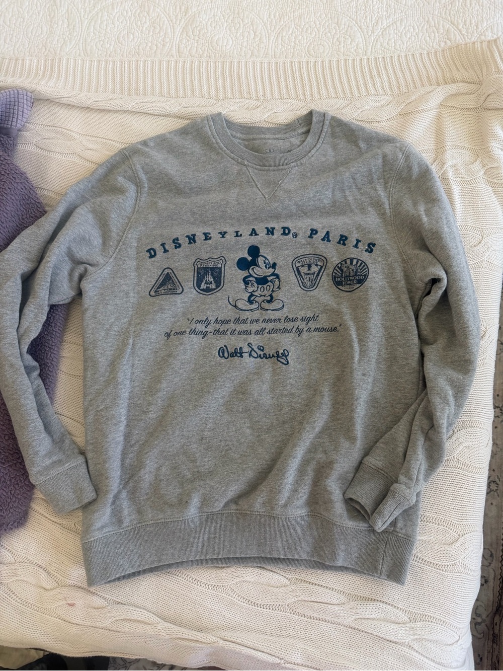 Disneyland Paris Gray Mickey Sweatshirt